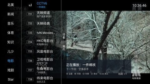 ztv影视官方版