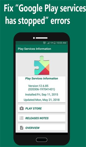 Play Services Info破解版