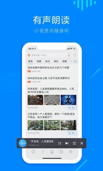 safari浏览器完整版截图3