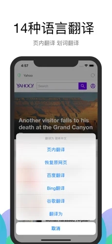 alook浏览器免费版截图2